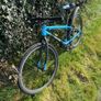 Frog Team Sky Image 3