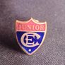 Junior / CE / Christian Endeavour Pin Badge  x 2 Image 3