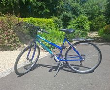Ladies Bike