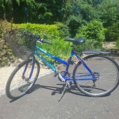 Ladies Bike