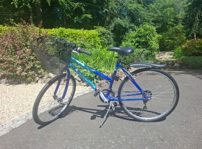 Ladies Bike