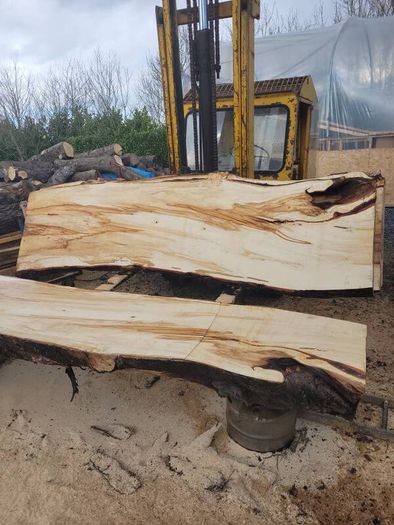 Hardwood timber