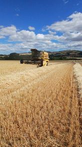 New holland TX 32