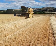 New holland TX 32