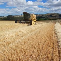 New holland TX 32