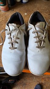 Nike golf shoes