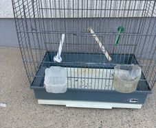 cage