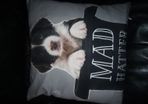 Cushion