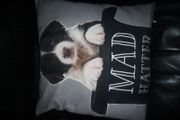 Cushion
