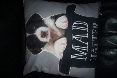 Cushion