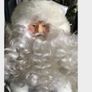 Silver Santa Tree Topper Image 5