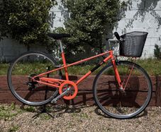MBM Radonee Ladies Bike