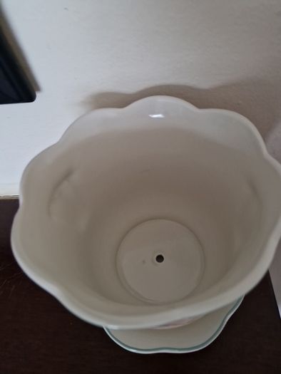 plant pot