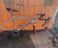 Bike frame