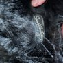 Superdry Afghan Short Coat 6/8 Image 5