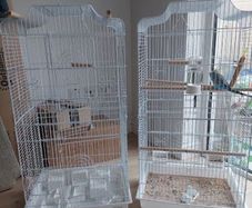 Bird cadges