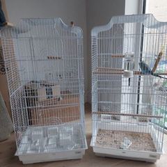 Bird cadges