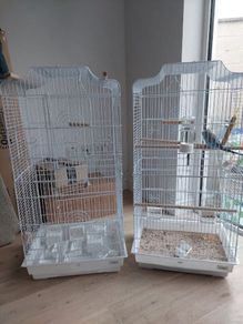 Bird cadges