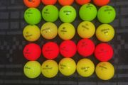 30 Wilson Coloured Balls