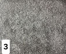 brand new carpet sale now on