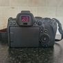 Canon R6 Mark II Image 2