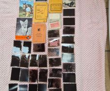 Vintage Photographic negative Strips