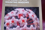 The Valley of the Squinting Windows / Brinsley Macnamara