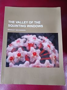The Valley of the Squinting Windows / Brinsley Macnamara
