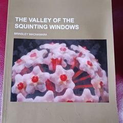 The Valley of the Squinting Windows / Brinsley Macnamara