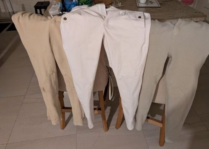 Women's showjumping jacket and jodhpurs