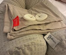 Bbhugme Pregnancy Pillow