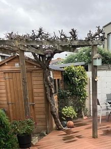 Garden Shed