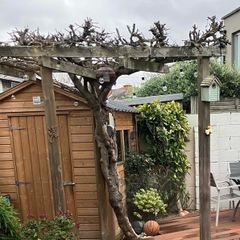 Garden Shed