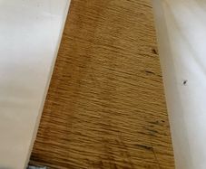 18 years stocked maple wood log for guitar/bass neck