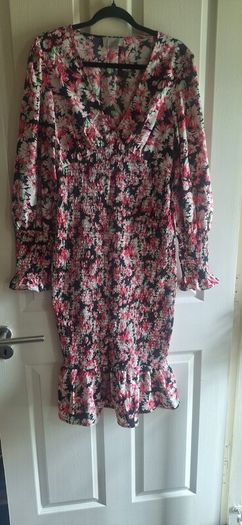 Coast V- Neck Floral Dress.