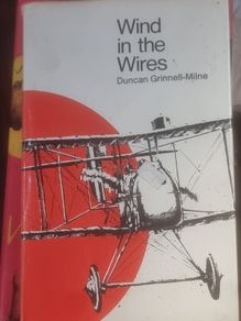 Wind in the Wires by Duncan Grinnell-Milne
