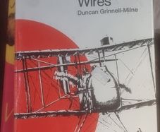 Wind in the Wires by Duncan Grinnell-Milne