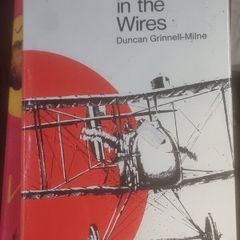 Wind in the Wires by Duncan Grinnell-Milne