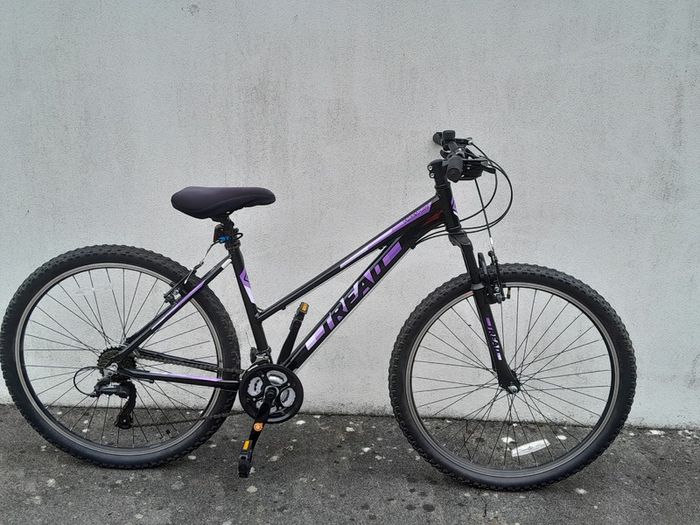 Ladies Bicycle
