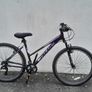 Ladies Bicycle Image 2