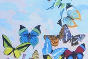 "A Flight of Butterflies" - Limited Edition Signed Print by Irish Artist Anna O'Hara | High-Quality Watercolour Reproduction