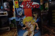 New Blood ! Issue #29 ! Elfquest ! Fantasy ! 1995 ! by Warp Graphics !