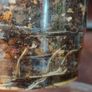 Philodendron Pedatum loss variegation Image 7