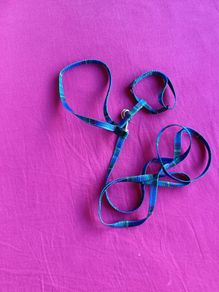 Harness/ leash small