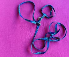 Harness/ leash small