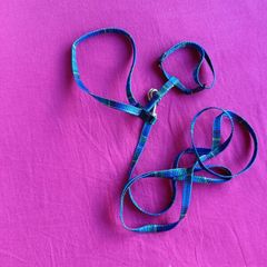 Harness/ leash small