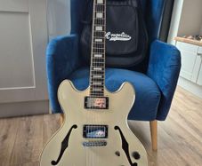 D"Angelico Premier DC Champagne