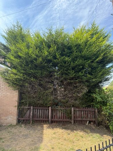 Gardening & Tree Service