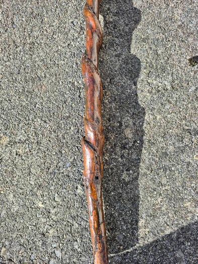 For Sale: Authentic Handcrafted Vine-In Irish Walking Stick 98cm