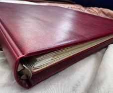 BRITAIN and INDIA stamps collection album